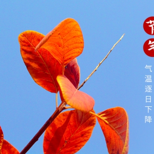 秋分‖云淡風(fēng)清揚(yáng)，秋色可分長(zhǎng)